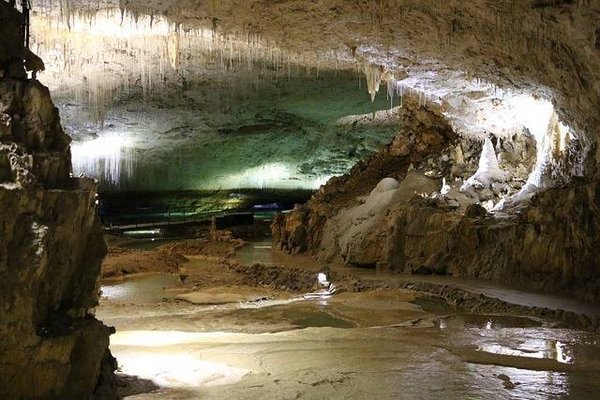 Guide ultime pour visiter la grotte de Lascaux